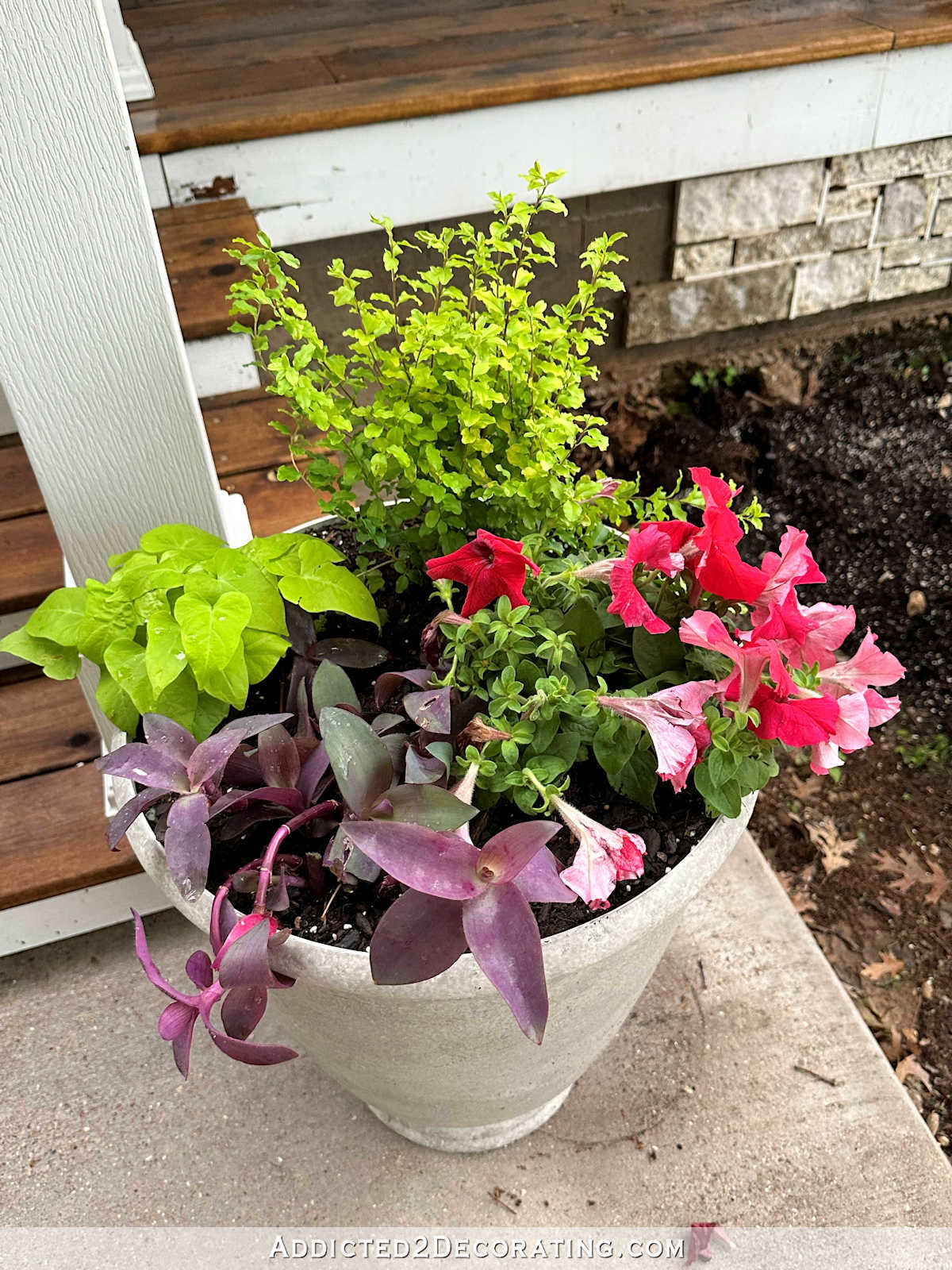 New Plants For The Front Porch (Plus, A Story About The Kindness Of A Stranger)