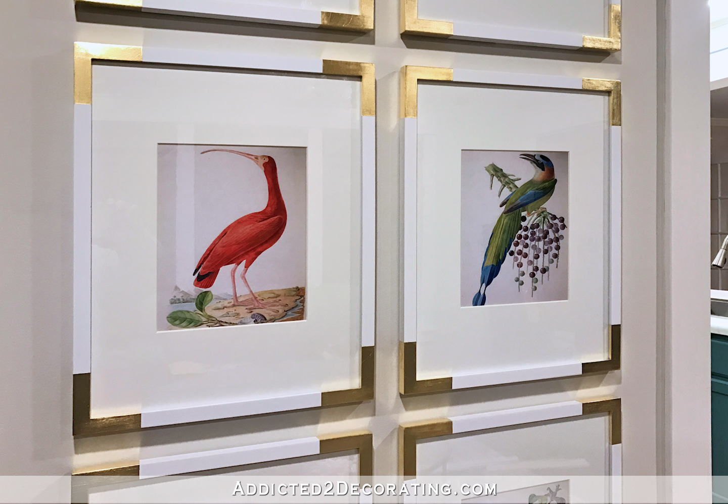 New Living Room Artwork — Gallery Wall Of Bird Illustrations