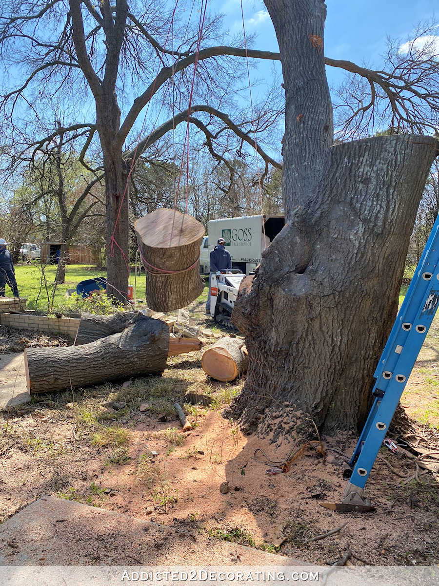 Our Huge (Back Yard) Oak Tree Is Gone!